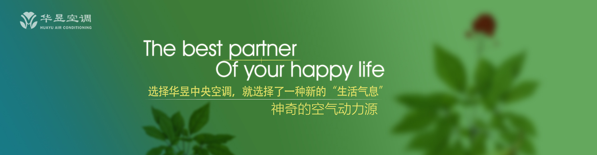 三更半夜网